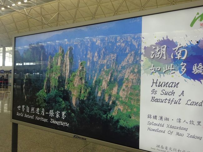 次に狙うはこちらです。<br />たまたまですけど、空港内に宣伝の看板があったので撮りました。<br /><br />中国湖南省の張家界にある武陵源と天門洞！！<br />気になる方は、あの有名な無職旅さんの動画がオススメ！