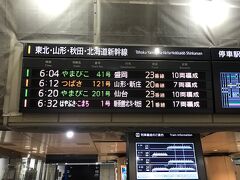 おはようございます。毎度お馴染み早朝の東京駅です。
東京駅に出る途中、乗った電車が急停車してヒヤッとしましたよ…ふぅ。
5分ほど遅れただけで済んだけれど、いきなりビビったヨー。

ここからまずは新幹線で福島まで向かいます。