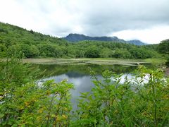 まず向かったのは、小鳥ヶ池。