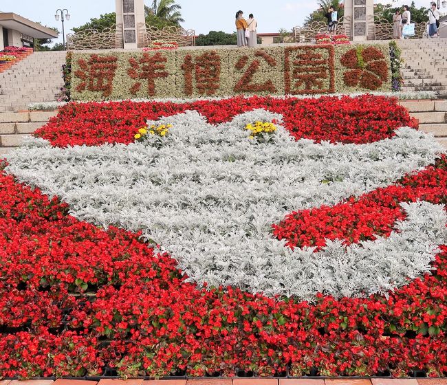沖縄14 国営沖縄記念公園-海洋博公園- 180分/自由滞在で ☆美ら