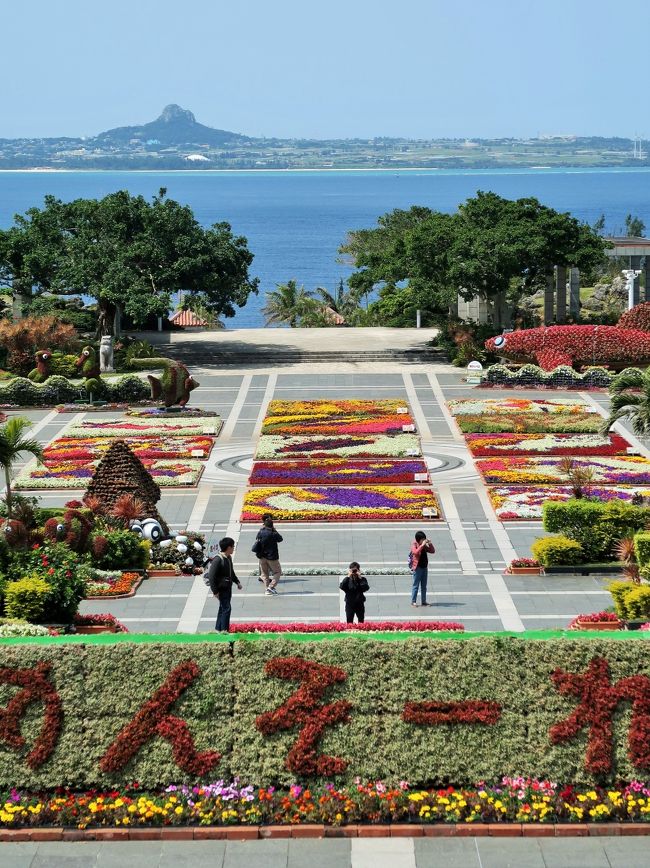 沖縄14 国営沖縄記念公園-海洋博公園- 180分/自由滞在で ☆美ら
