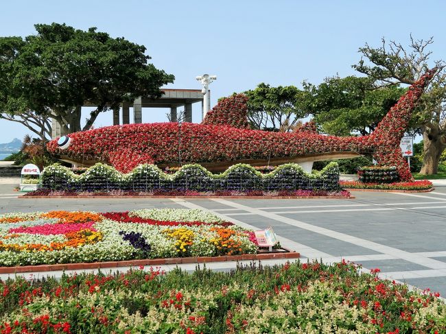 沖縄14 国営沖縄記念公園-海洋博公園- 180分/自由滞在で ☆美ら