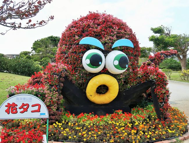 沖縄14 国営沖縄記念公園-海洋博公園- 180分/自由滞在で ☆美ら