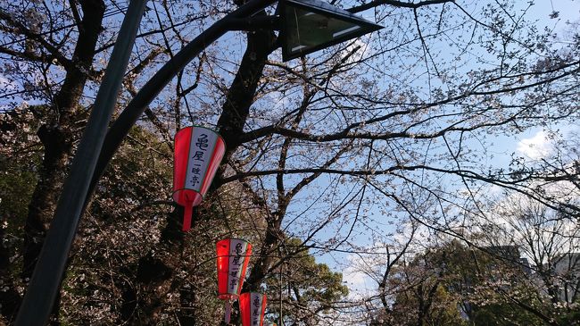 多くの外国の方も来ていましたね。<br /><br />若者が酒飲んで、大騒ぎしていた。