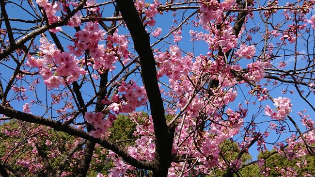 不忍池弁天堂の通りが大混雑！！<br /><br />子連れには行く気になれませんでした。<br /><br /><br />射的をやったのですが、お菓子しか当たりませんでした。<br /><br /><br />まあ…そんなものですよね～。