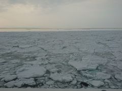 「オシンコシンの滝」で、2回めの下車観光15分。
駐車場から道路を渡って、海を見に行きました。
オホーツク海には、流氷がどっさり。
おーろら号から見た流氷より、荒々しい感じ。