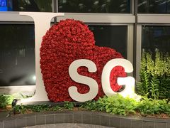 入国審査の手前には、「I Love SG」の可愛い文字がありました。

入国後、心配していた荷物も無事にピックすることができました。

今回初エアチャイナで、運航や荷物、そして中国での荷物検査のことを心配していましたが、案ずるより…で、全てスムーズに済みました。また、飛行機の着陸も全く衝撃がなく、腕のいいパイロットなんかなーーー？と娘と話しました。