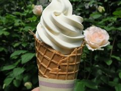 ローザンベリーのバラのお庭で食べるマヌカハニーソフトクリーム。おいしかったです。
