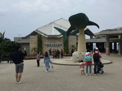 美ら海水族館
何回も行っちゃいますね～