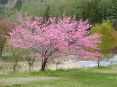 大出公園