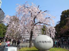 上野公園に到着。
ソメイヨシノが満開の時期に来るとここのしだれ桜は散り始めていますが、