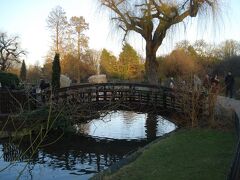 場所は変わって、Regent's Parkの橋。橋のデザインと柳の木が、ちょっぴり日本を感じさせます。