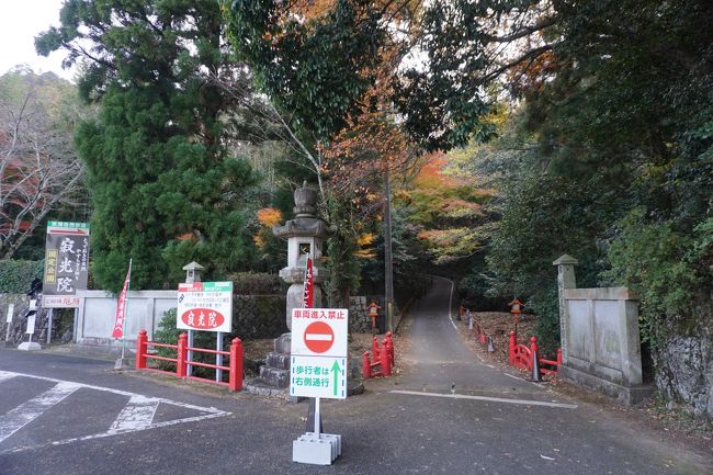 20分くらい歩いたところで、ここが入口ですか。