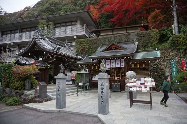 さて、ここが本当の入口。やっと到着しましたね。