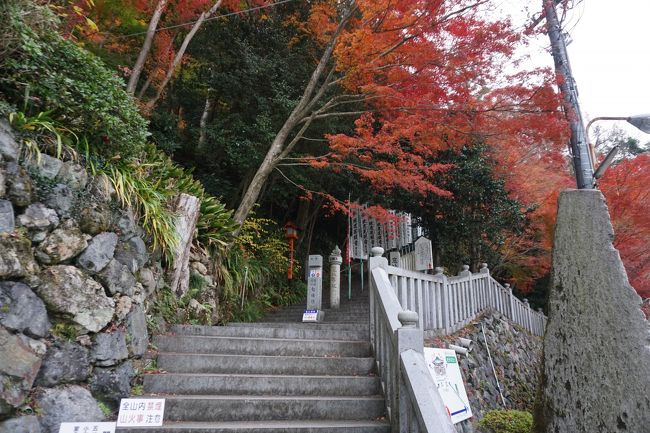 参道は、ここからの石段。