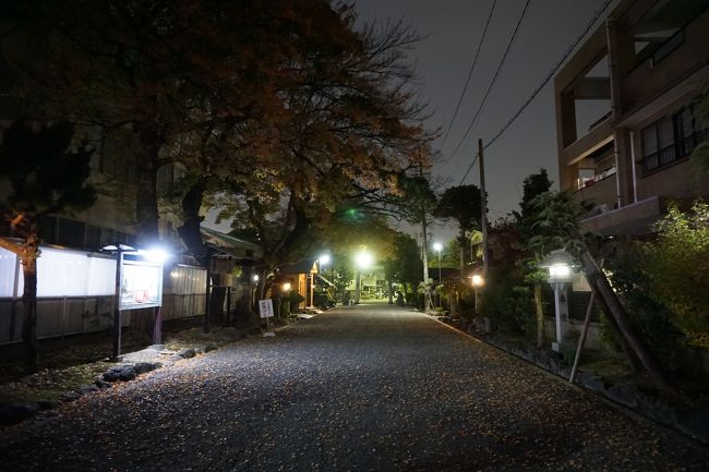 神明大一社は、通りに面した鳥居から入ると馬場みたいな直線の広い参道が境内につながっていて、ちょっとしたスケール感。辺りは清々しい雰囲気がありました。<br />