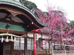 梅の花に誘われて…
石浦神社に少し寄り道