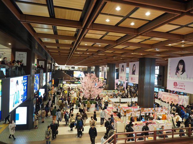 2019.03 鉄路で目指せ北海道！（3）仙台駅からさらに東北本線
