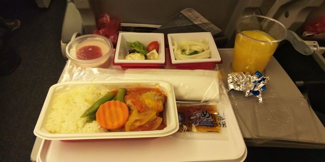 ５日目／５日間 復路はJALのマイレージを利用しました。