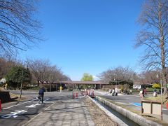 「古河公方公園」の目の前にも駐車場（500円）はありますが、臨時無料駐車場になっている古河商工会議所に駐車して、歩いて10分で桃まつり会場へ。