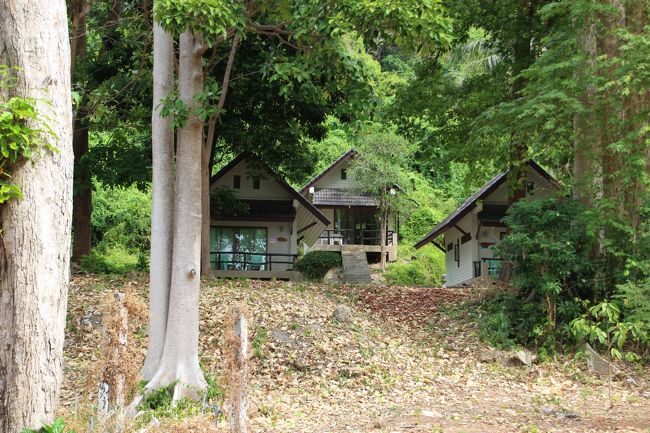 ☆Tarutao National Park  , Koh Adang Bangalows @ Mu Koh Lipe Thai<br /><br />Visitor Centerを中心に国立公園バンガローが点在しています。