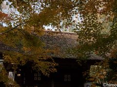 教林坊は滋賀県近江八幡市安土町にある天台宗の仏教寺院。聖徳太子により開かれたと伝わっています。ここの紅葉は絶景の紅葉スポットとしてTV、雑誌で取り上げられ注目されています。拝観は春と秋だけです。

大変な混雑を予想していましたが、朝一番ということで、意外にゆっくりと紅葉を鑑賞し、撮影をすることができました。