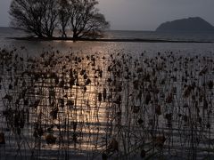 最後に琵琶湖の夕景を撮りに行ったのですが、残念ながらツアーのタイトルにあった「茜色に染める絶景　琵琶湖の夕景」とはなりませんでした。