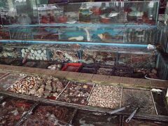 バスを降りると海鮮レストランが並んでいます