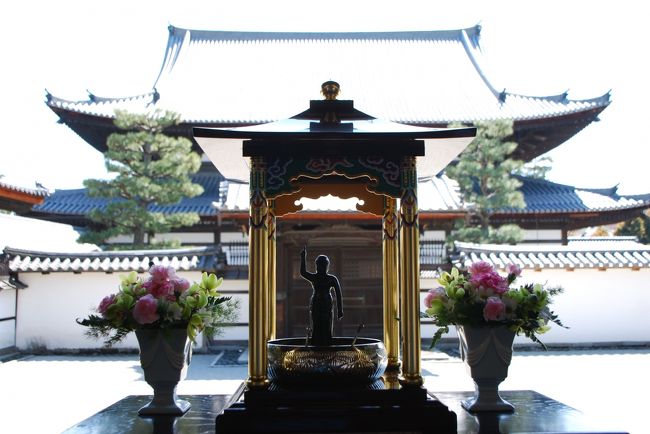 ひとりお花見部 2018⑥ 花まつりは花御堂探し 三十三間堂~智積 ひとりお花見部 2018⑥ 花まつりは花御堂探し 三十三間堂~智積