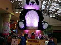 花見の始まりは上野駅から♪(^o^)
上野は、まだまだパンダ押しです（笑）