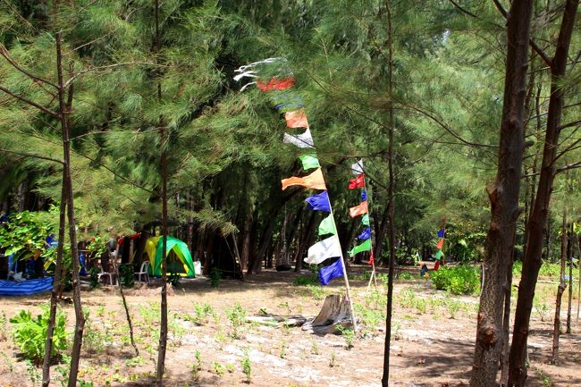 ☆Camp site of Koh Adang  @ Mu Koh Lipe Thai<br /><br />Main Beachの東海岸の森はキャンプサイトになっていて<br />５，６組のゲストがテントを張っていました。<br />レンタルテントは２２５B、自前なら３０Bです。<br />