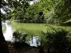 これが神田川の水源である井の頭池。
しかし、池の水はちょっと色が付いていて飲みたくありませんね。最近人気の抹茶ドリンクと思えば飲めなくないか（笑）