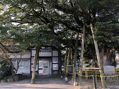 讃岐財田駅待ち合わせ、巨木に囲まれた駅だった