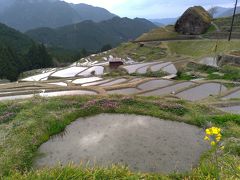 宿へ行く前に丸山千枚田に立ち寄り。
丁度水を張り出した頃で美しい景色でした。