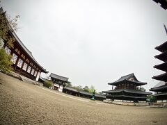 【柿くへば鐘が鳴るなり法隆寺】

奈良駅前にある「天然温泉　吉野桜の湯　御宿　野乃　奈良　ドーミーイン」で朝までゆっくりしていたのですが.......