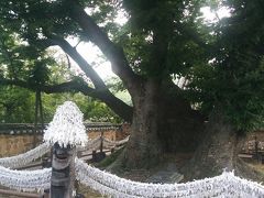 韓国、安東にある河回村の中心にある御神木、三神堂です。三神堂には、願い事を書く紙が置いてあり願い事を書いて御神木の周りに結んでお願いする事できます。