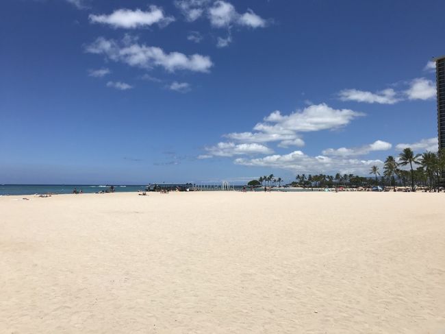 本日もとてもいいお天気です😊