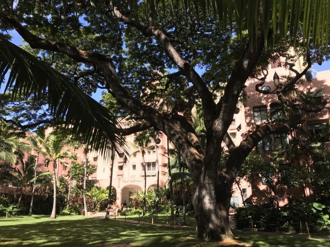 バスのお迎えは12時30分なのでそれまで時間あるのでロイヤルハワイアンまでお散歩して、ベーカリーでバナナブレッド等買いました。