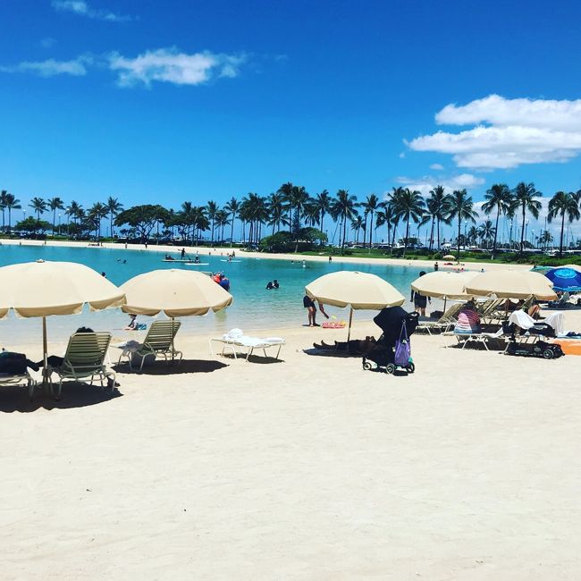 絵になりますねー！<br />ヒルトンハワイアンビレッジはお子さん連れがとても多かったです✨<br />ラグーンとかプールもあるから安心なんですかね💕