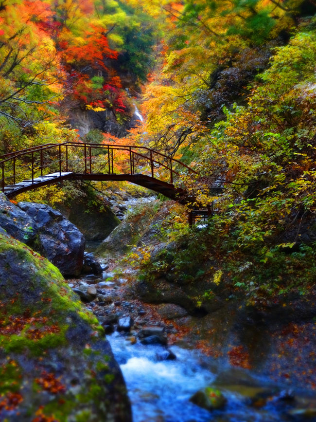 紅葉の滝めぐり橋わたり 山形紅葉川渓谷と秋の温泉めぐり かみのやま温泉 山形県 の旅行記 ブログ By Q太郎さん フォートラベル