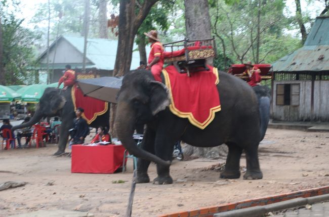 象のタクシーです。