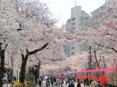 一番下から坂を振り返って。

ここから徒歩数分の小石川植物園へ向かいます。