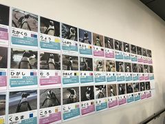 京都の街の通りから名付けたというペンギン59羽の名前