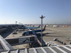 娘婿を送ってセントレア空港へ