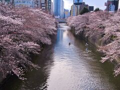 ふれあい橋から目黒川下流の眺め
先ほどのカヌーを漕ぐ方々が中目黒手前まで行ってＵターンしてきました。