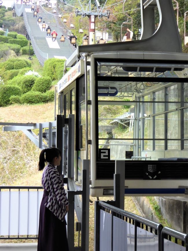 松山 ゆるり春旅 松山 お土産編 松山 愛媛県 の旅行記 ブログ By ミモザおばさんさん フォートラベル 松山 ゆるり春旅 松山 お土産編 松山 愛媛県 の旅行記 ブログ By ミモザおばさんさん フォートラベル