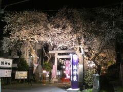 そして、鴻巣公園を後に、鴻神社へ。
こちらのライトアップも見事です。
