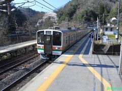 古虎渓駅
庄内川沿いに上流へ向かいます。
桜が咲いていました?