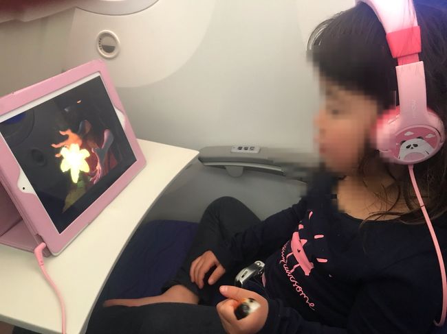 スクートの事前購入で、機内WIFI 3時間分というものを買っておりましたが…  youtubeを見せていると、なんと30分ほどで使い切った！との表示が。これにはショックでした。