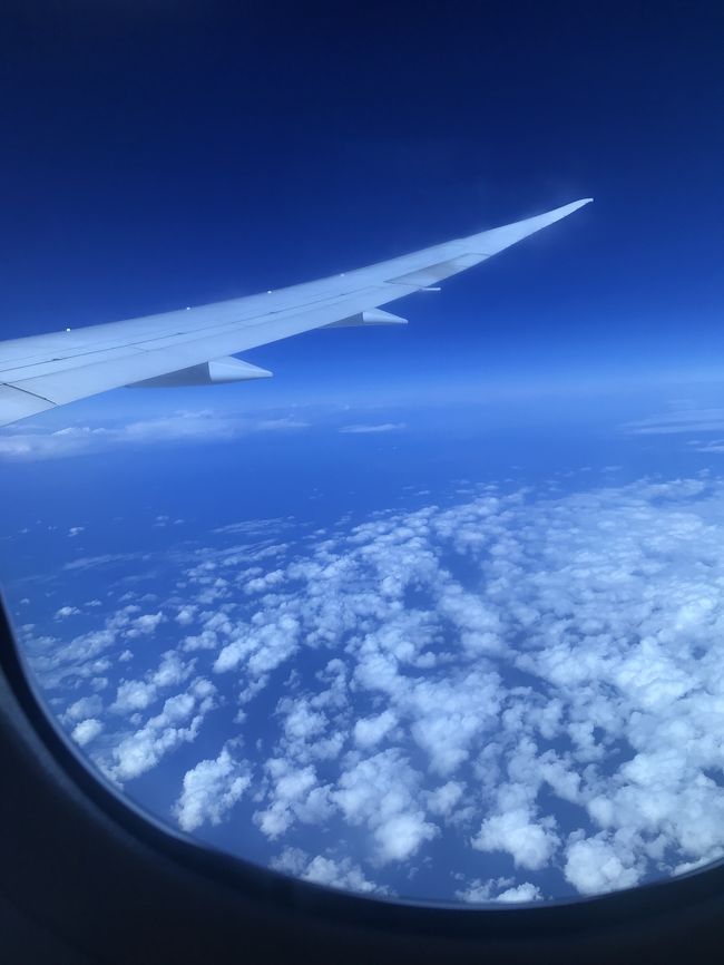 空の旅、約7時間。<br />ちょっとお昼寝もしてくれましたが、やっぱり長い！